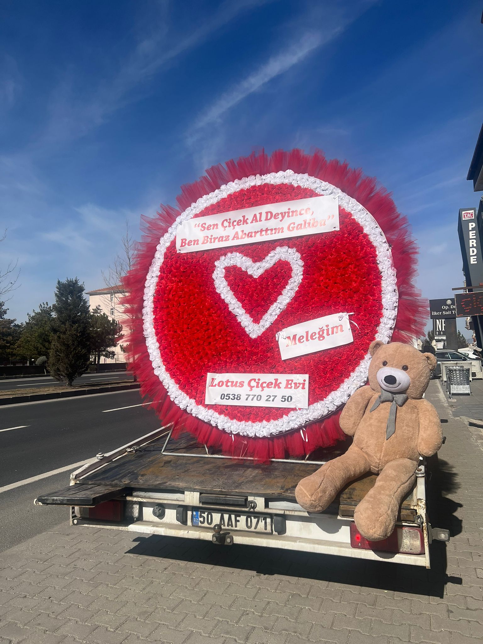 I M G 20260206 W A0024