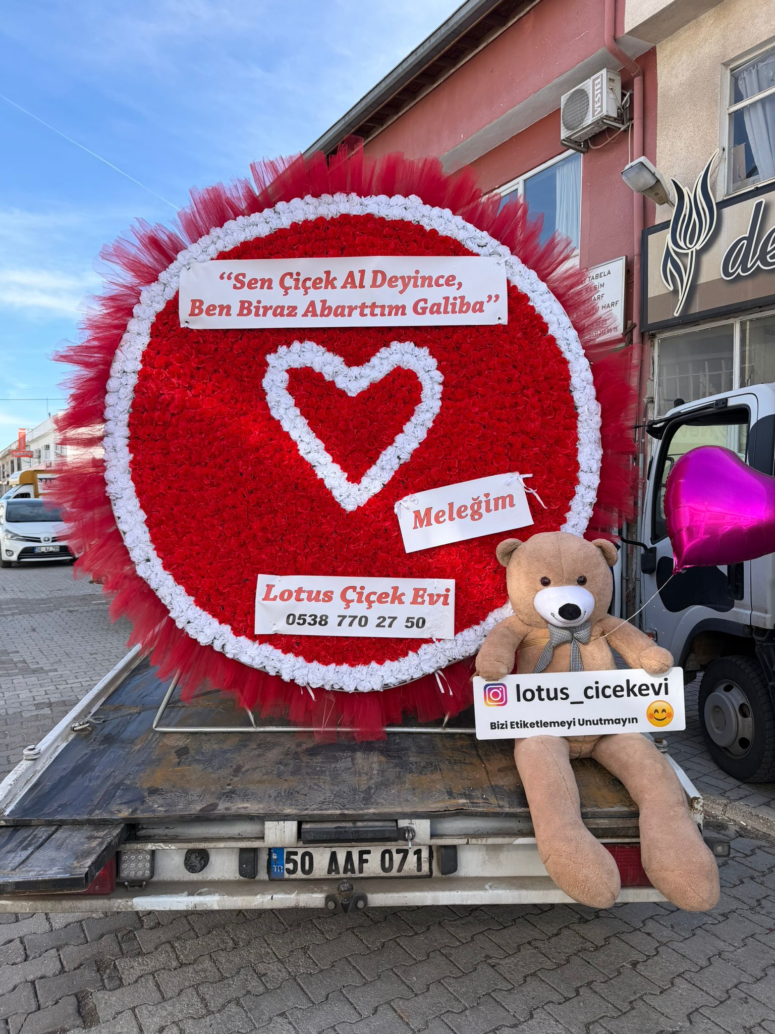 I M G 20260206 W A0025