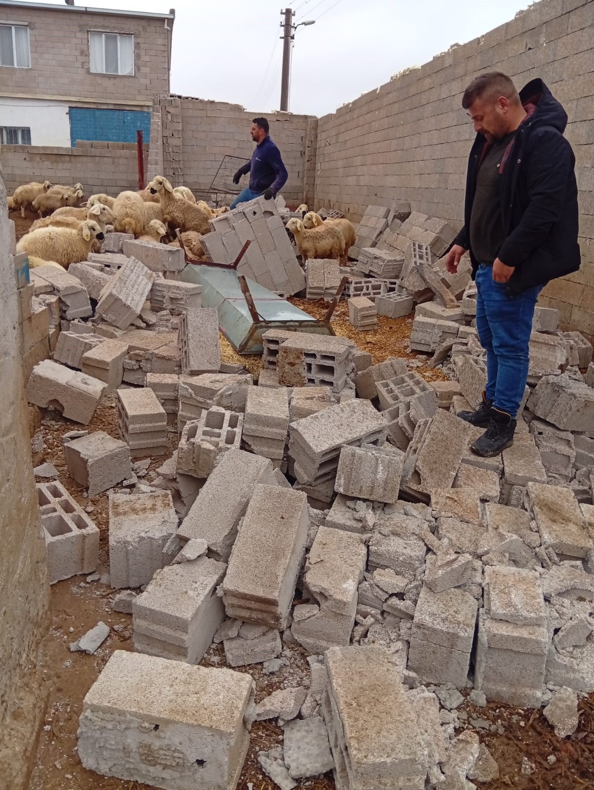 I M G 20260214 W A0017