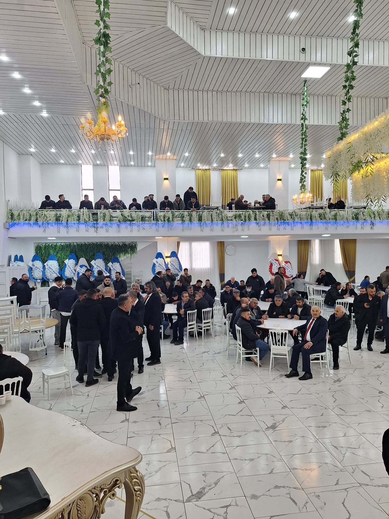 I M G 20260214 W A0052