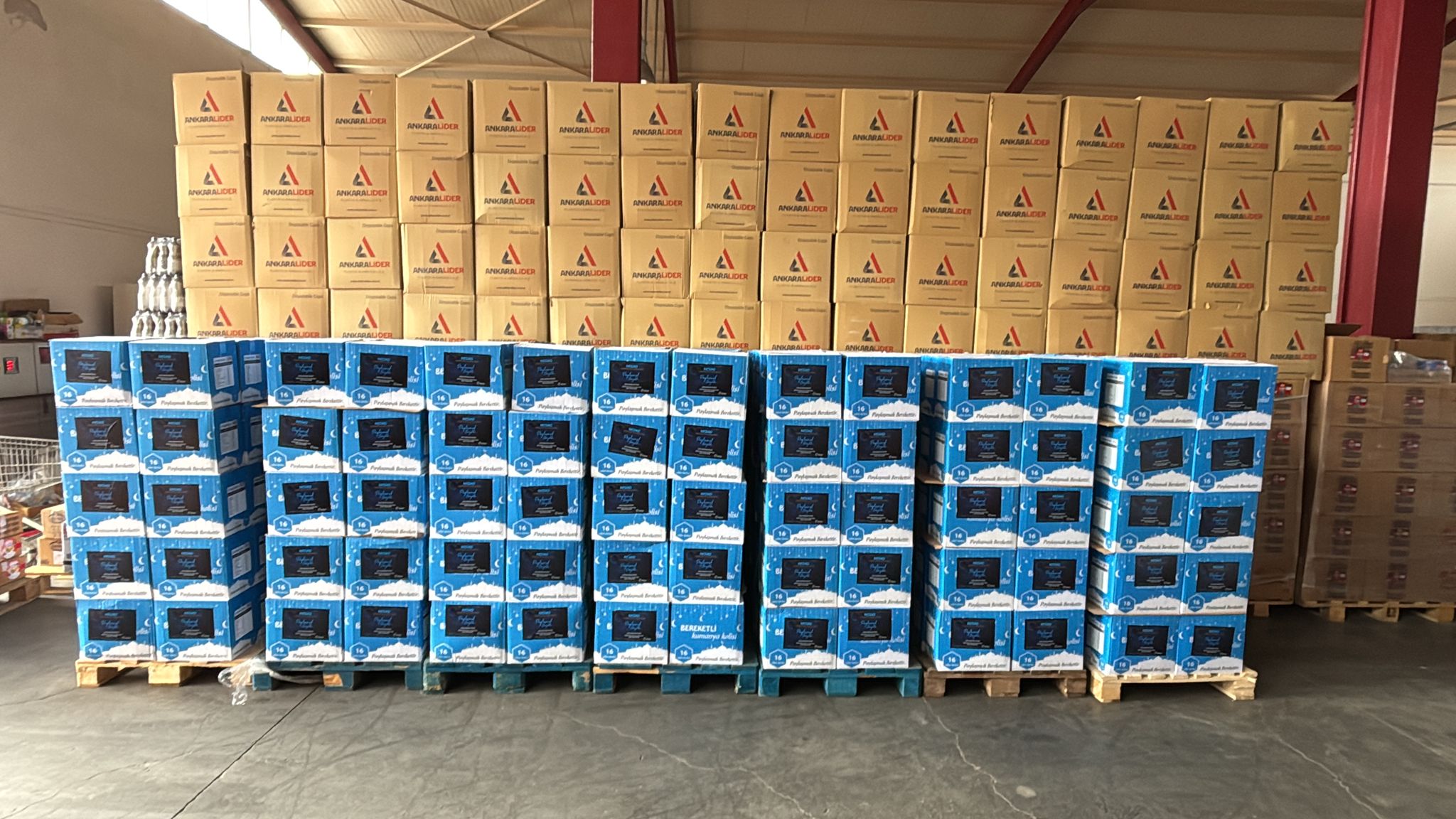 I M G 20260217 W A0093