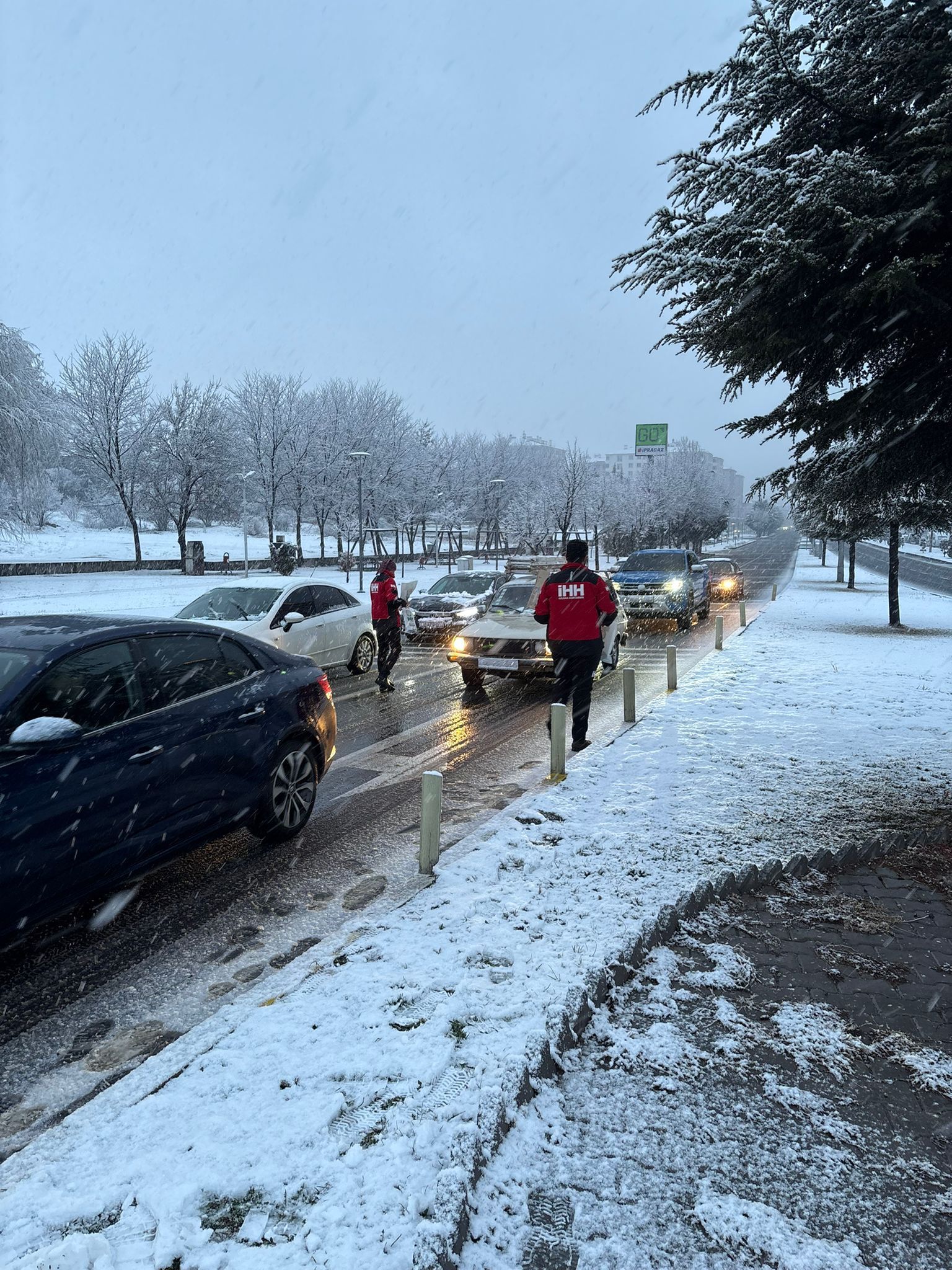 I M G 20260225 W A0018