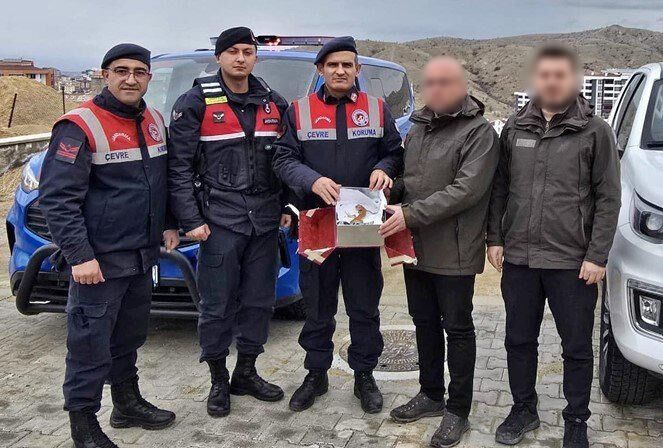 I M G 20260226 W A0012