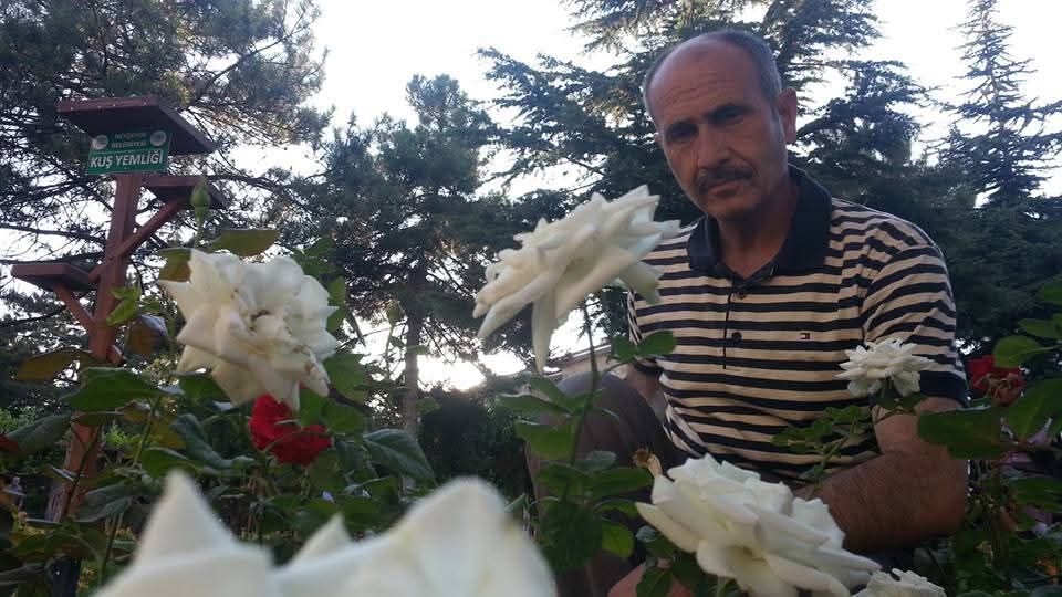 F B I M G 1774612407935