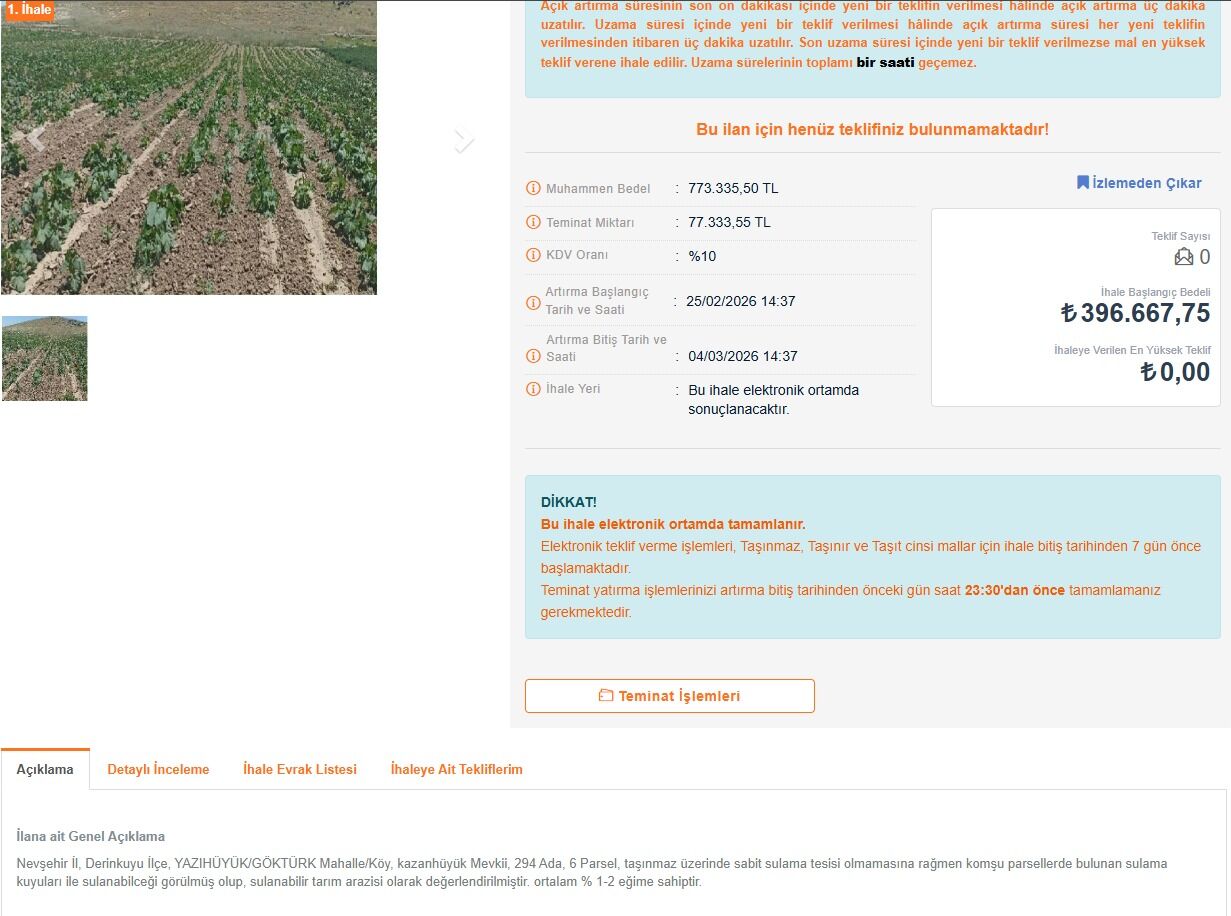 I M G 20260302 W A0006