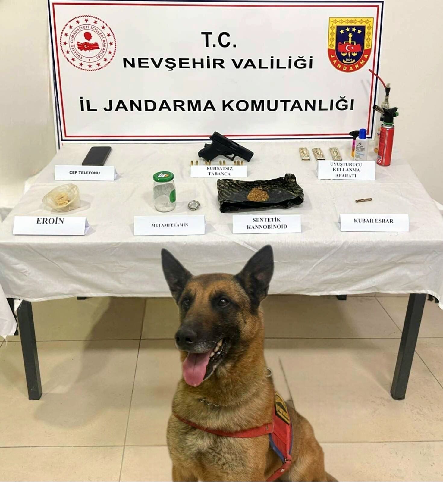 I M G 20260324 W A0001