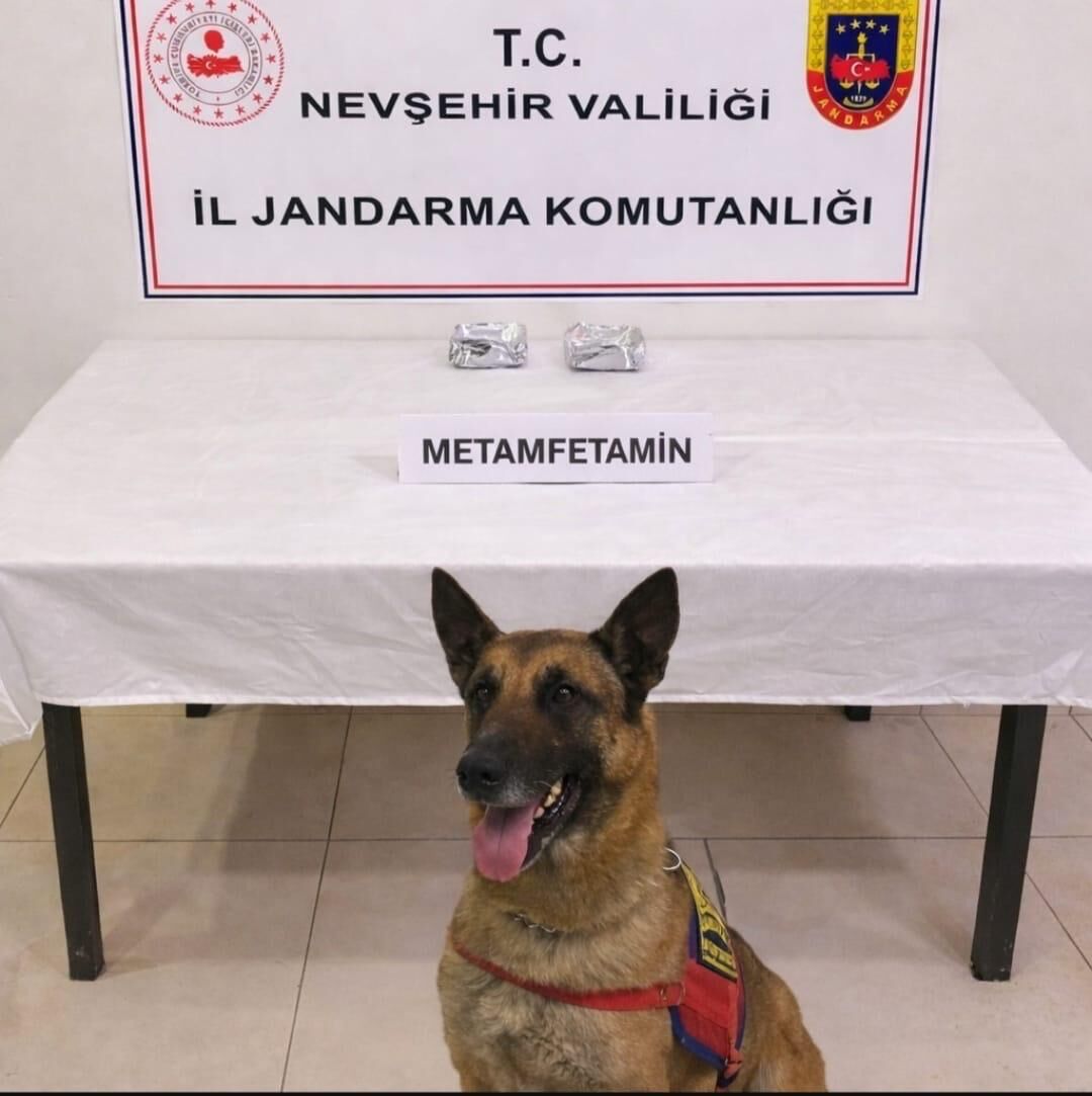 I M G 20260327 W A0002