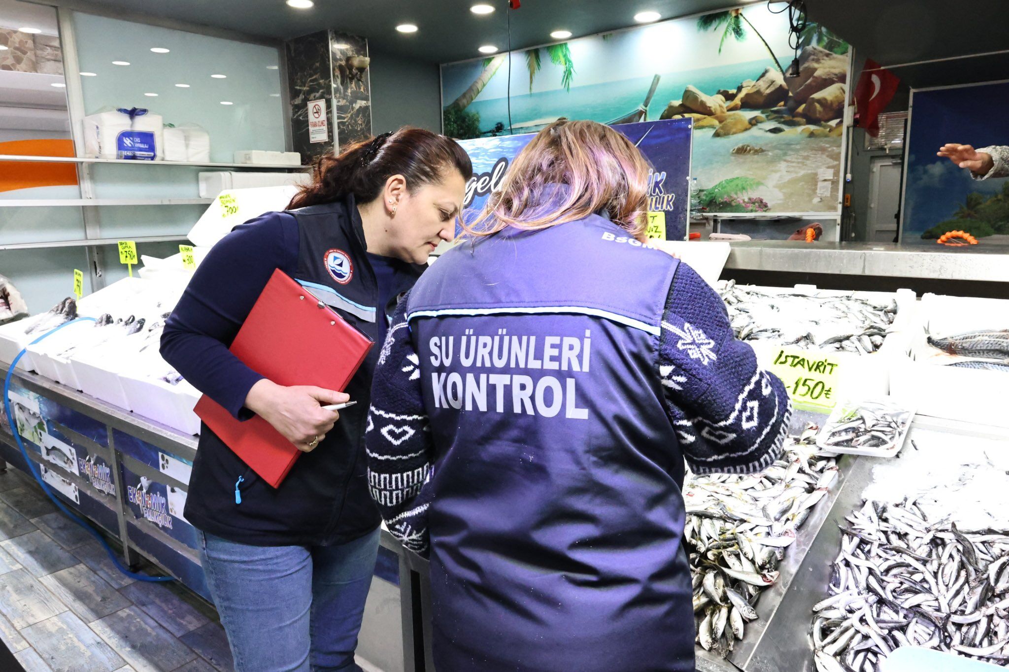 I M G 20260327 W A0009