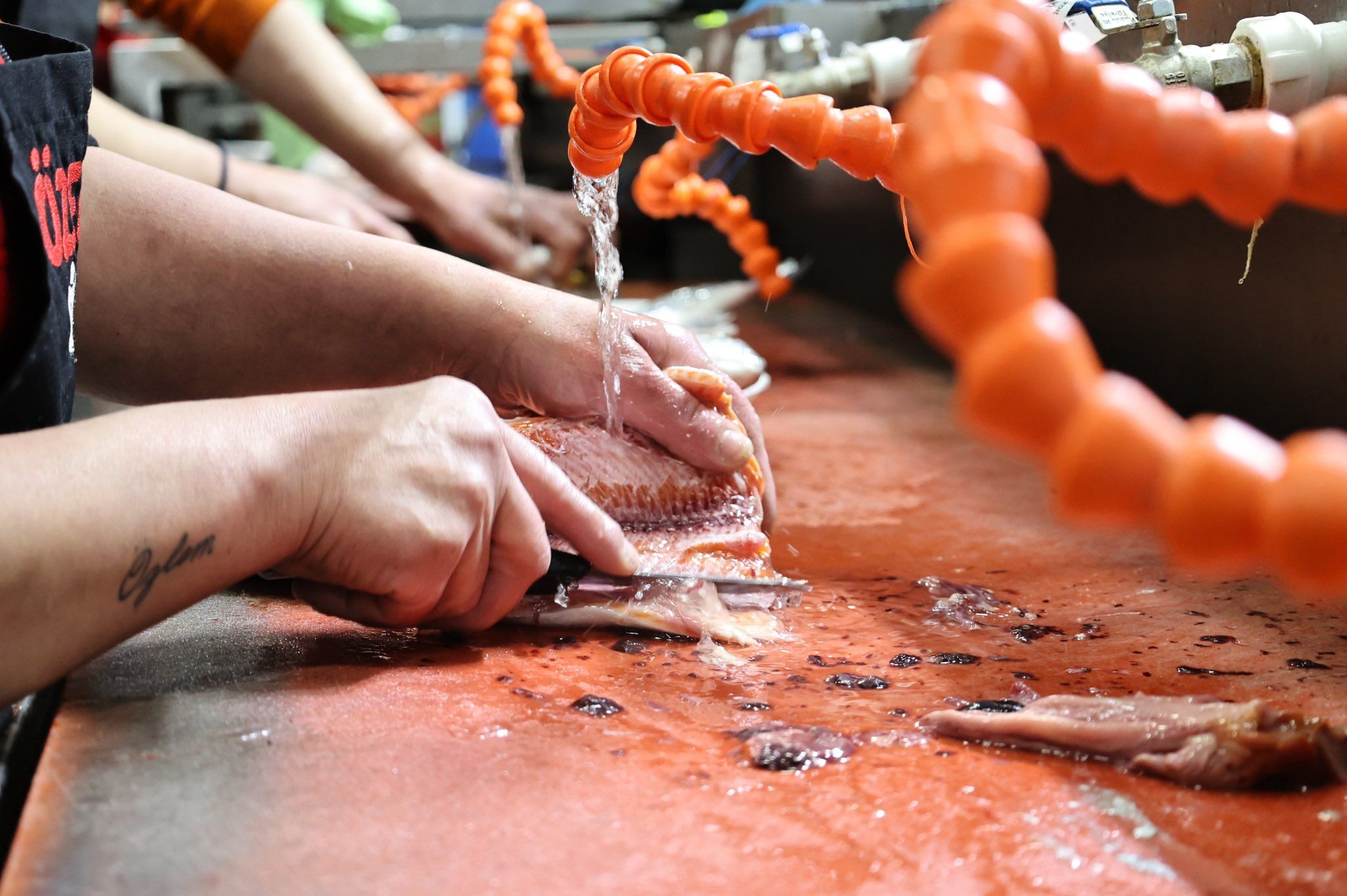 I M G 20260327 W A0012