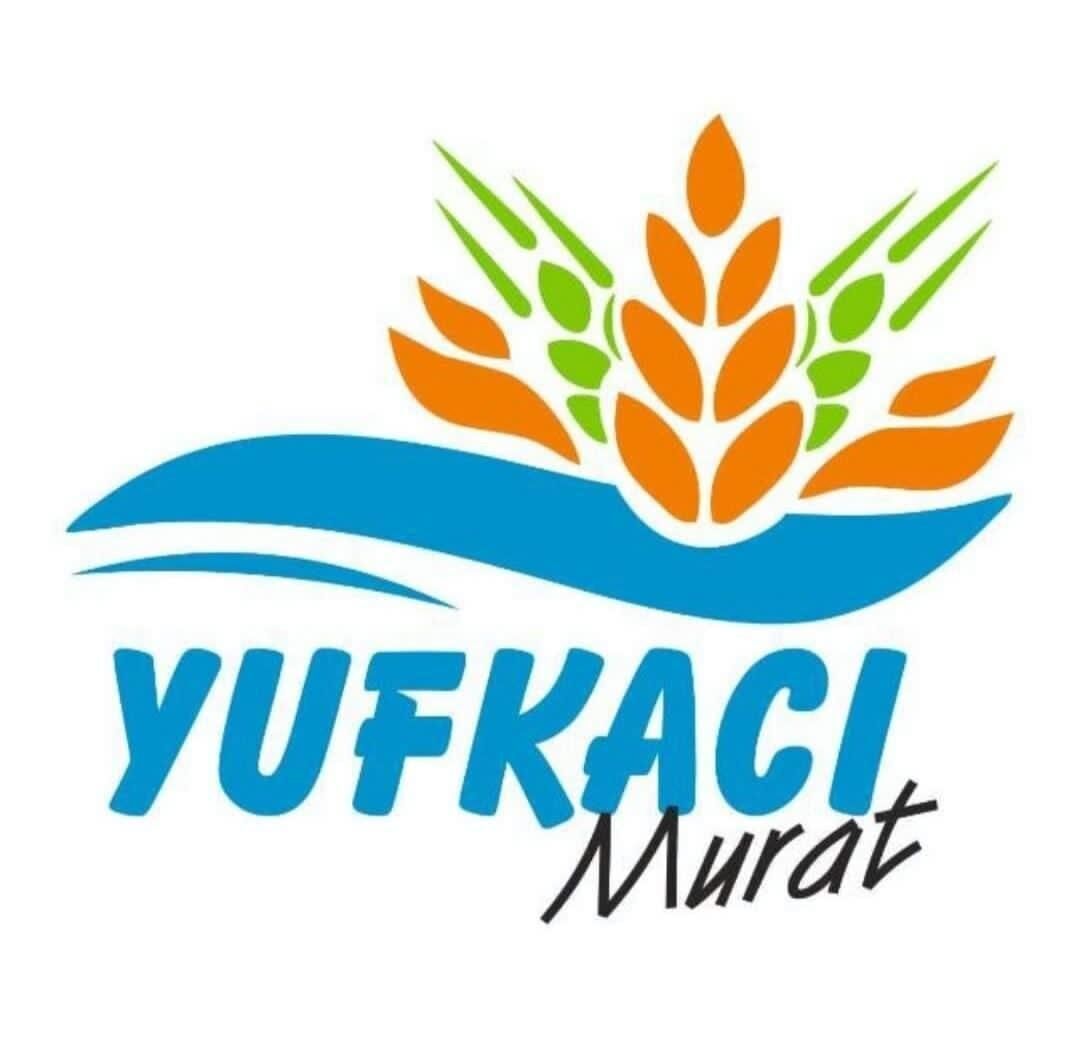 E81B1E73 D85A 4558 A1D4 6830F0F8Efdd