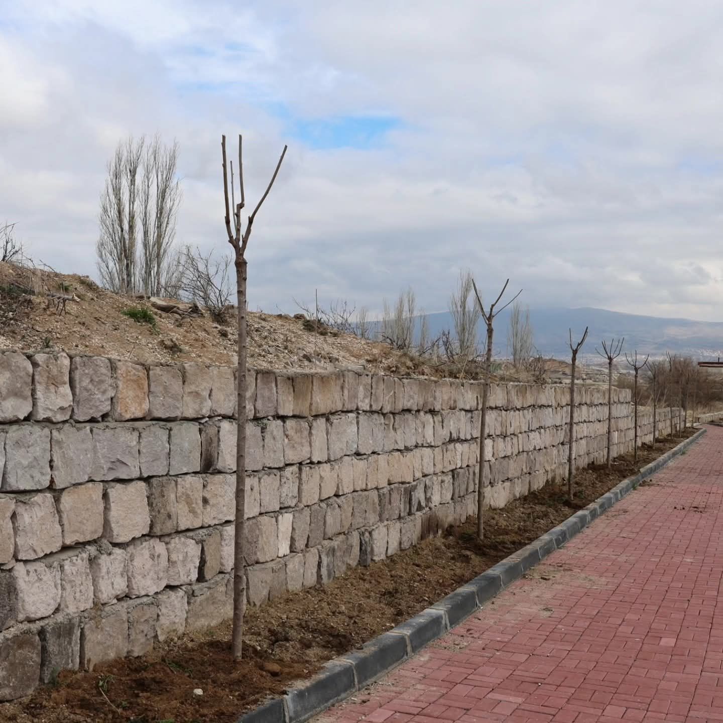 F B I M G 1775201929193