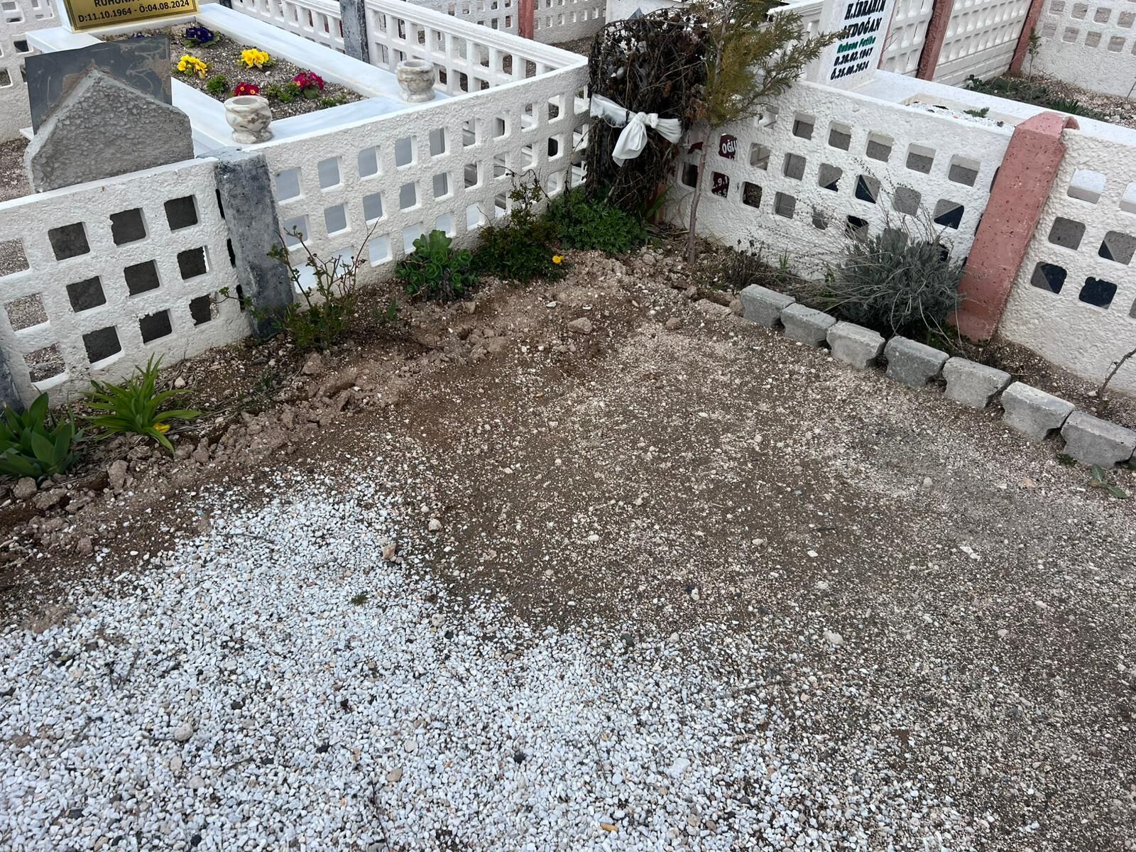 I M G 20260405 W A0002