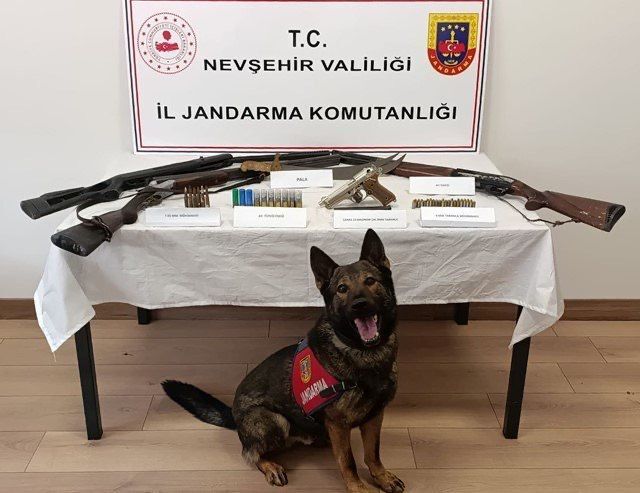 I M G 20260408 W A0000-1