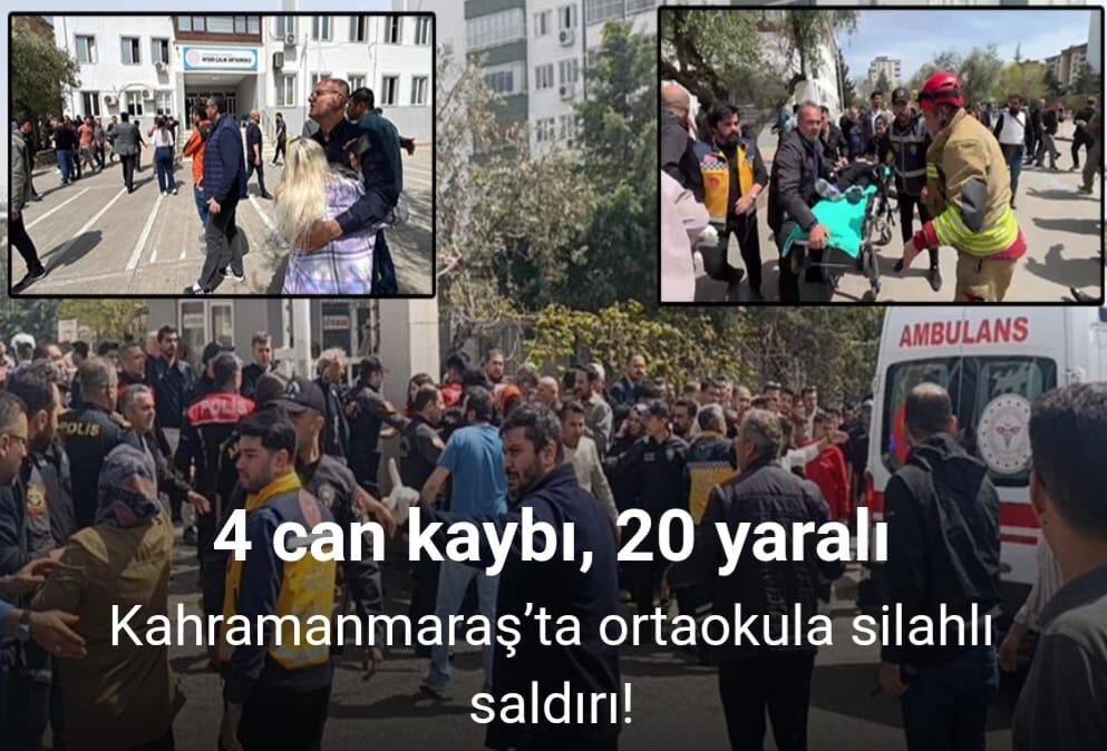 I M G 20260415 W A0042