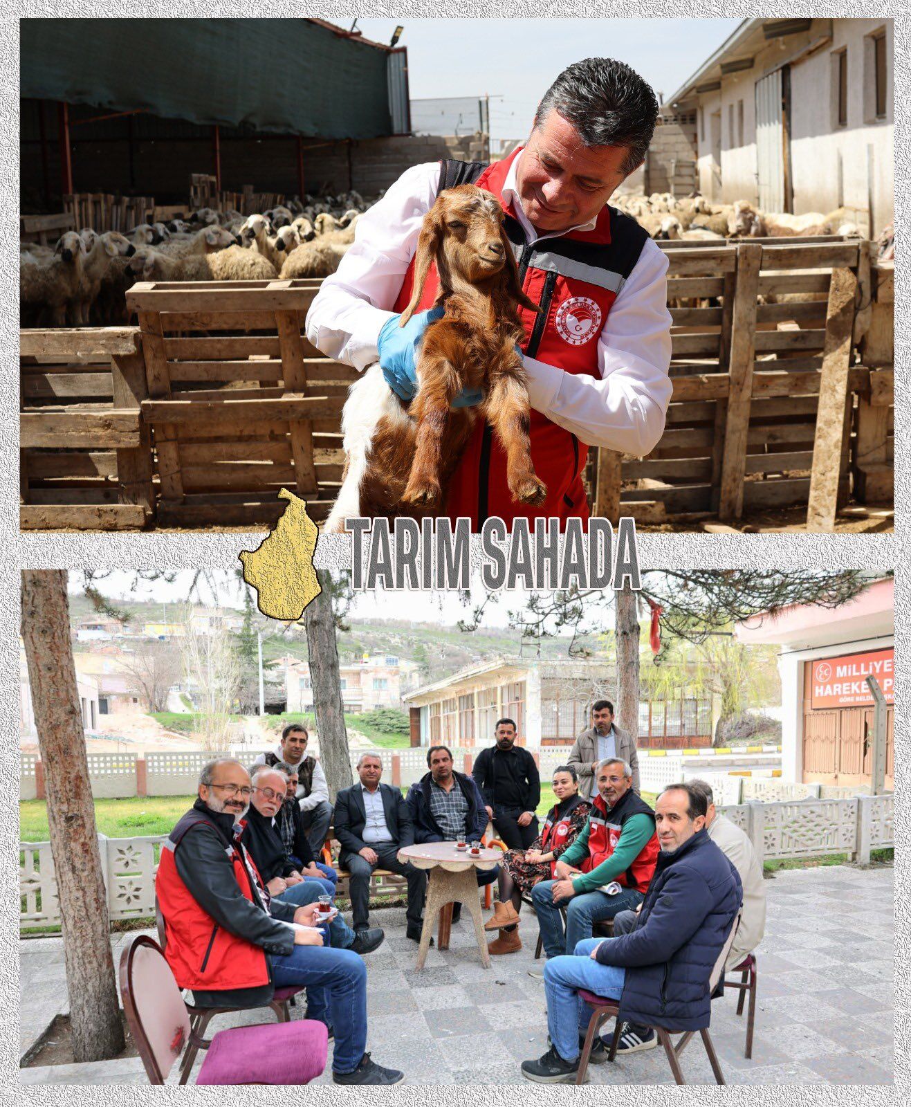 I M G 20260417 W A0034