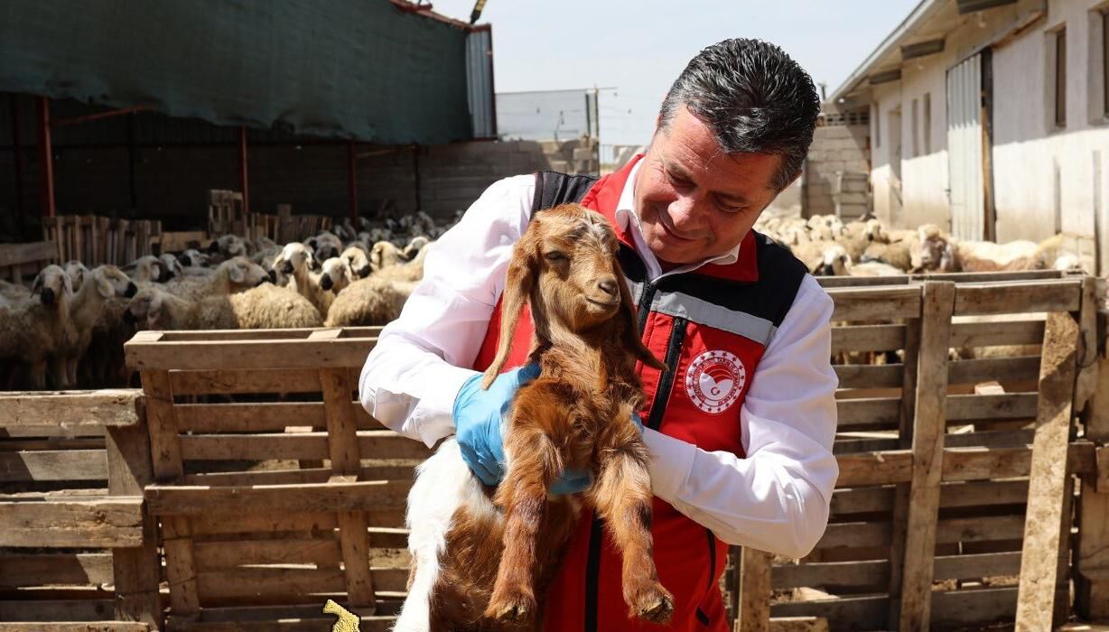 I M G 20260417 W A0037