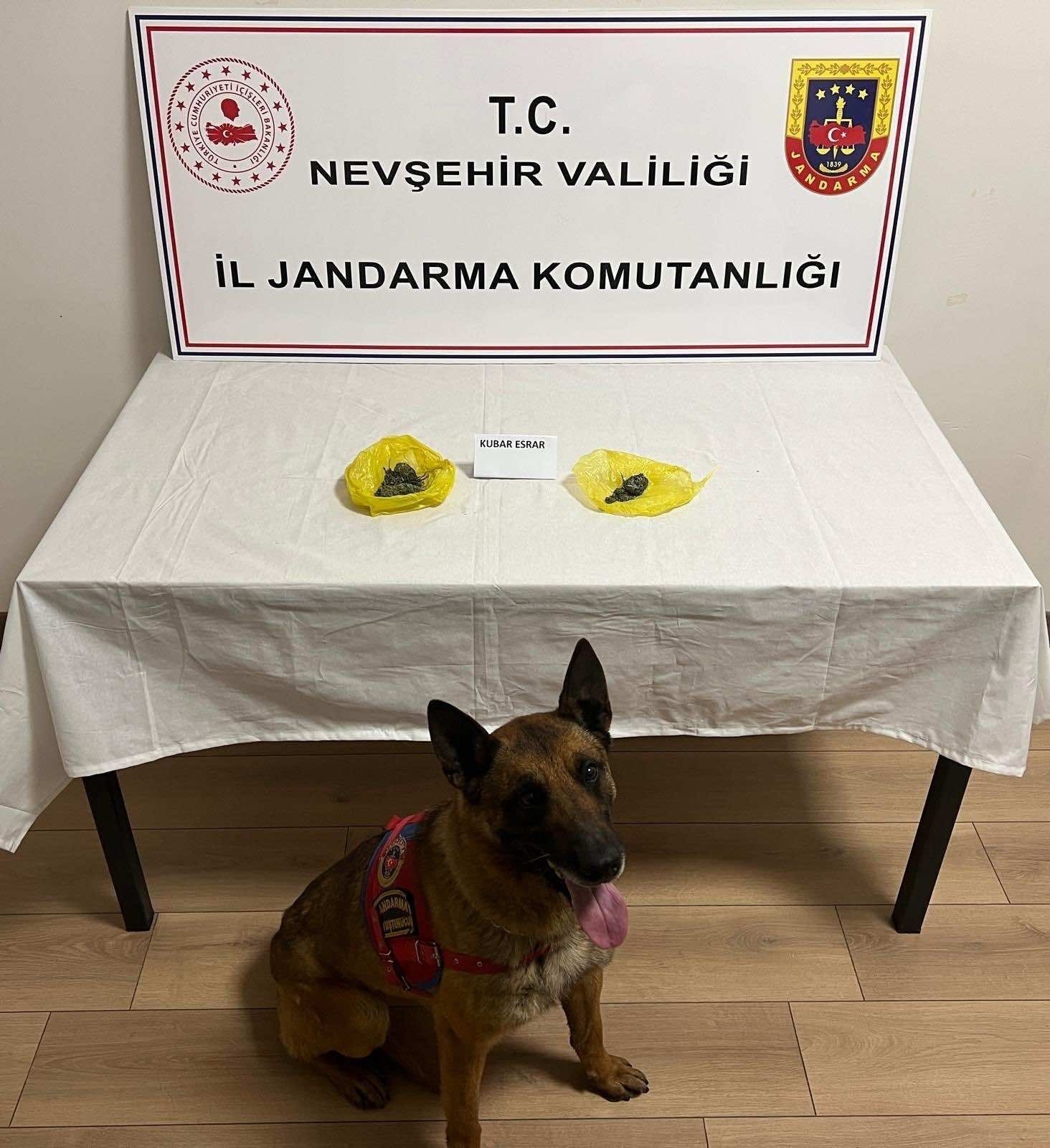 I M G 20260418 W A0002