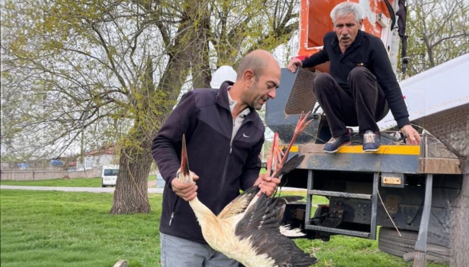 I M G 20260427 134004 663