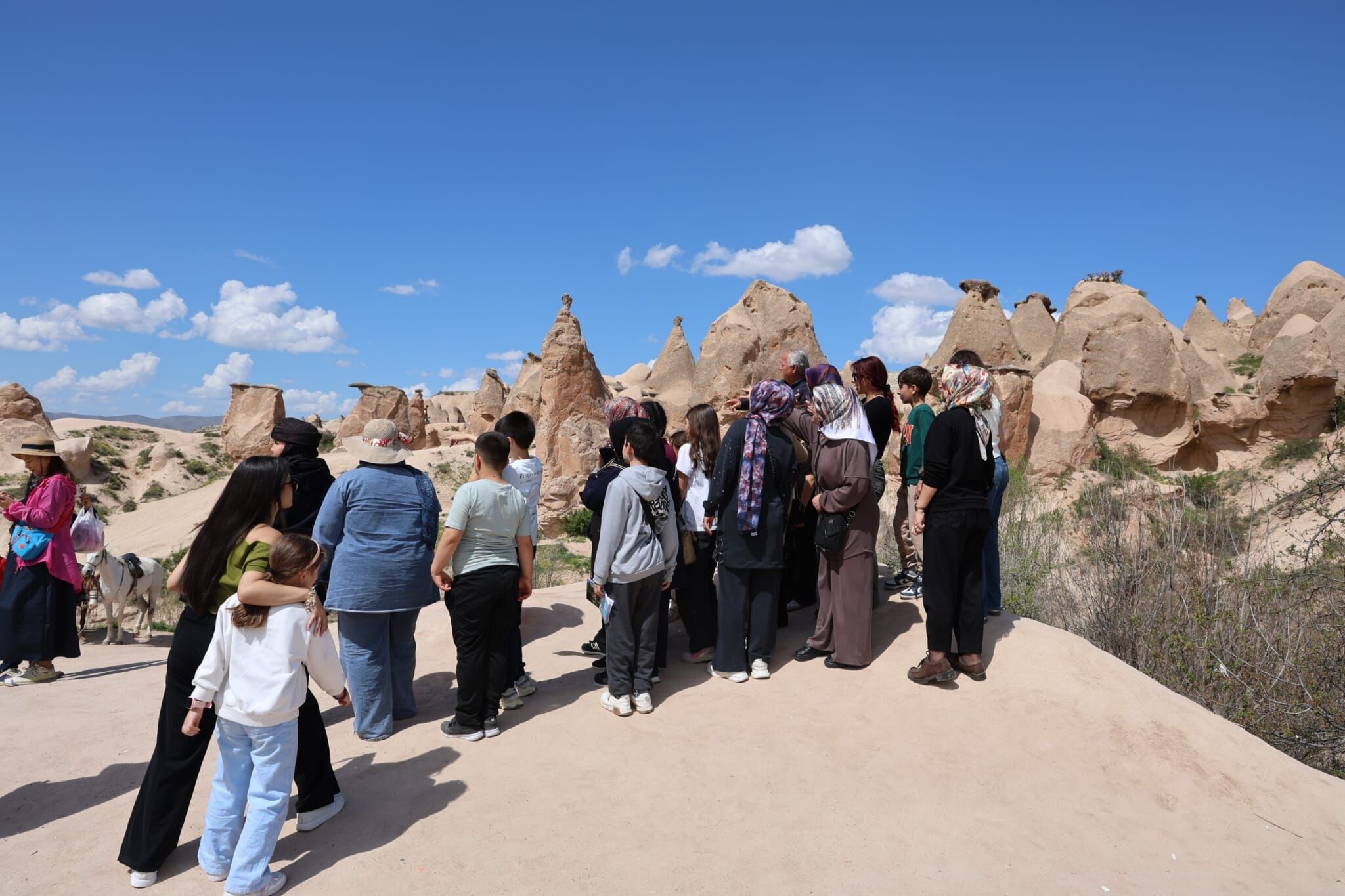 I M G 20260428 W A0014-1