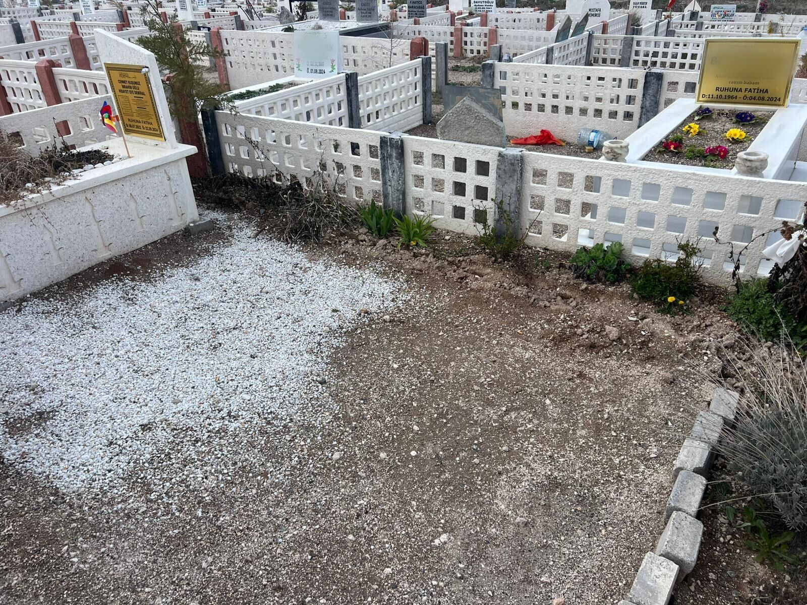 Point Blur Apr052026 121646