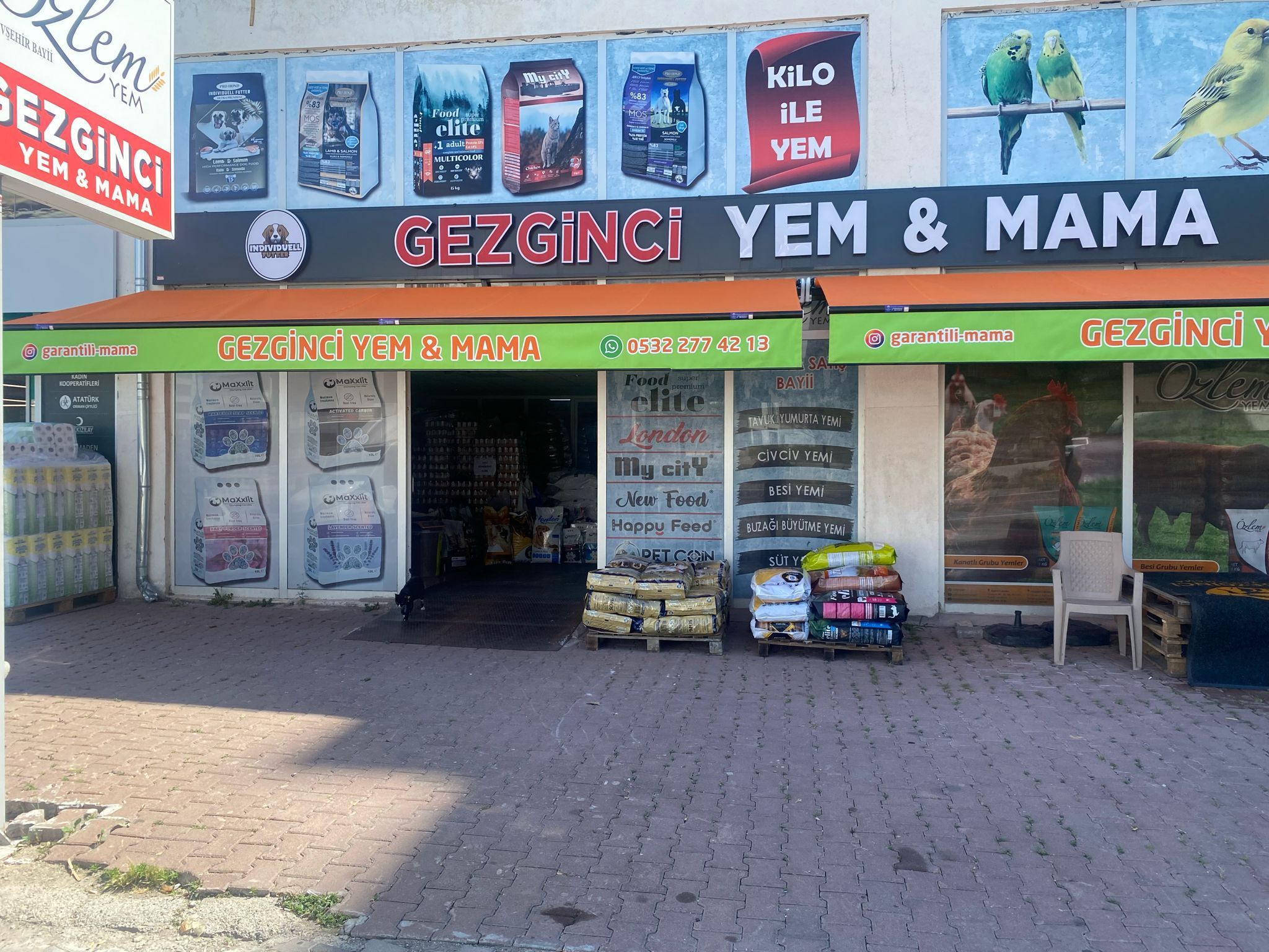 I M G 20260611 W A0011-1