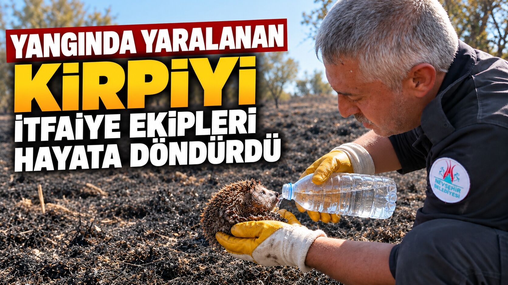 Yangında yaralanan kirpiyi itfaiye ekipleri hayata döndürdü