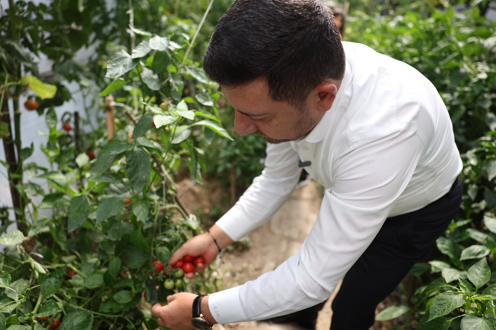 Nev Bel Sera Zi̇yareti̇ 003